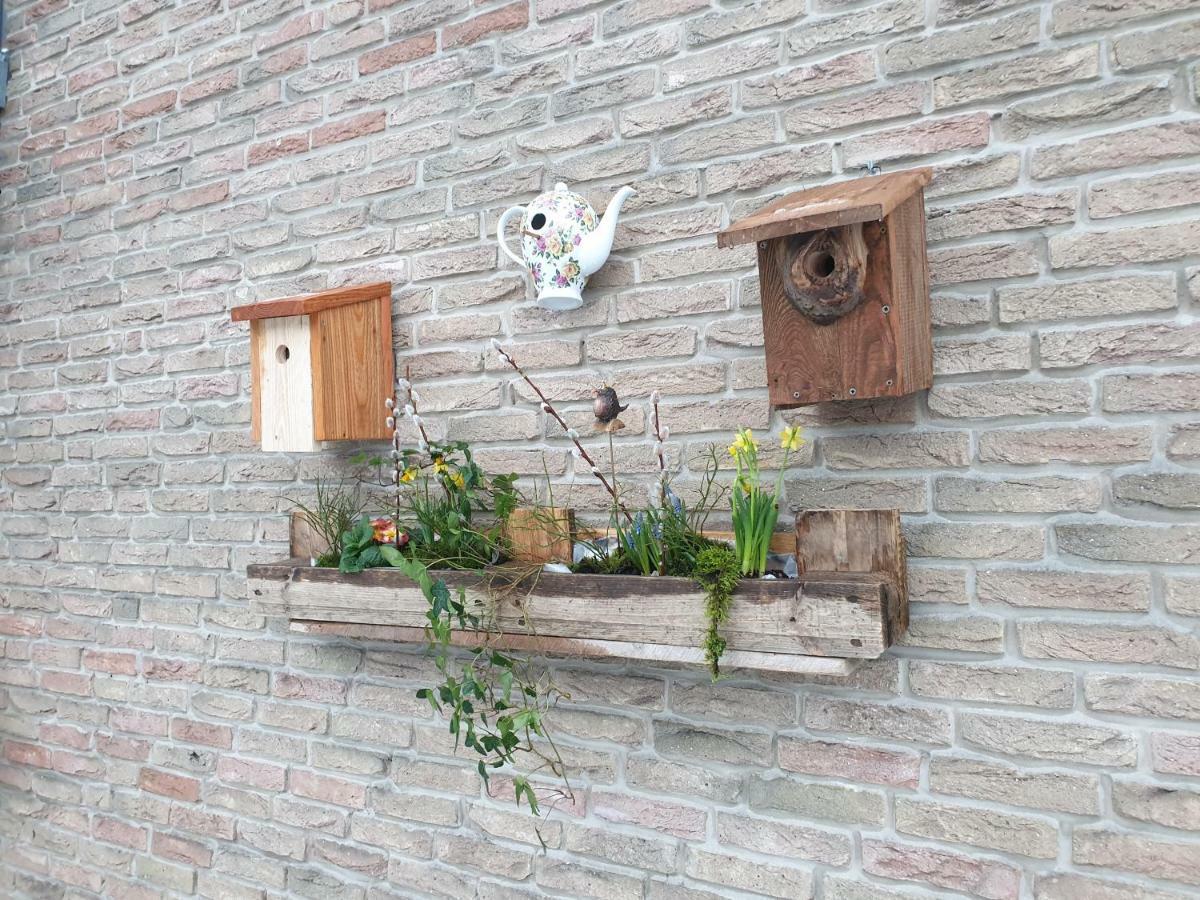 Ferienwohnung Vogelvilla Altenbeken Esterno foto